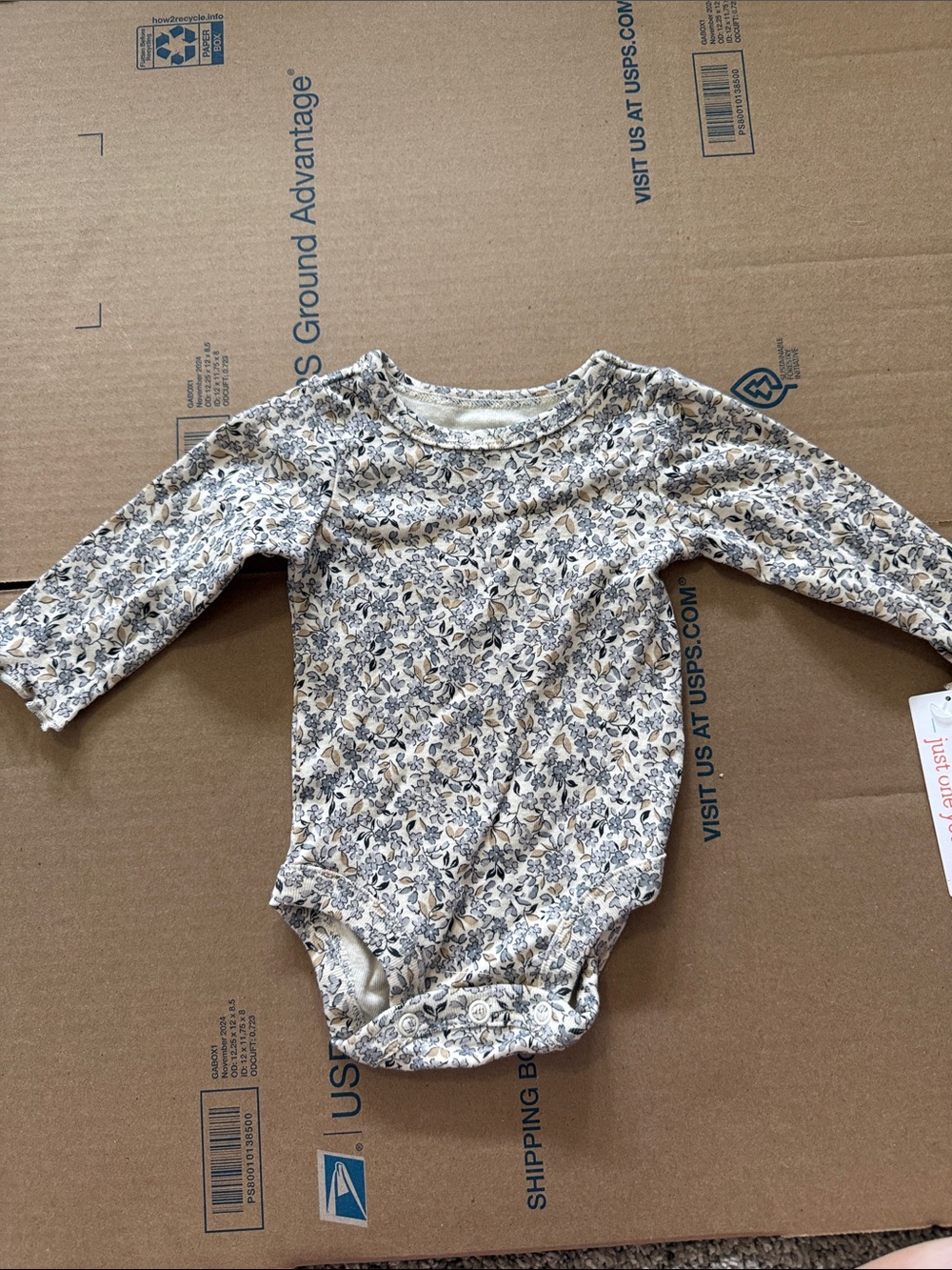 Long-Sleeve Floral Baby One-Piece Bodysuit - Cream & Gray